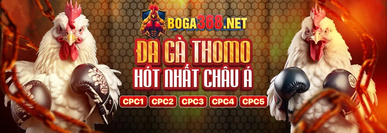Tổng quan các ưu đãi hấp dẫn tại Man79